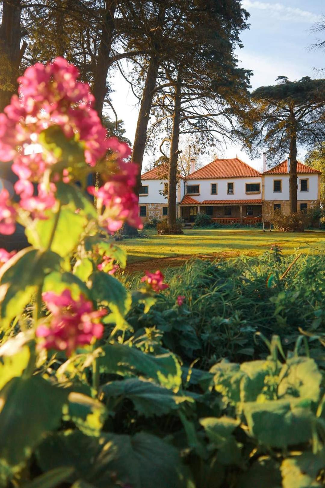 Lugar Da Pedra Alta - B&B - Private Historical Villa Melo Eksteriør bilde