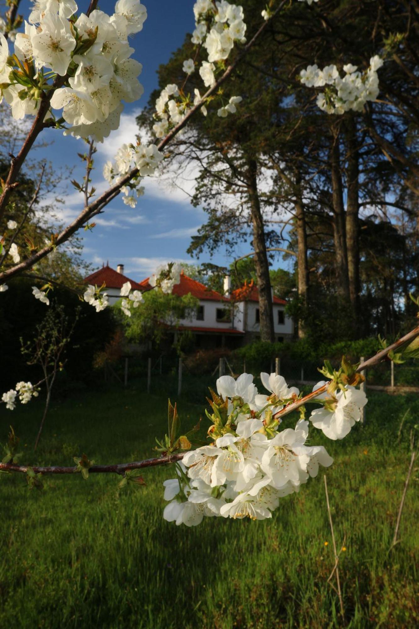 Lugar Da Pedra Alta - B&B - Private Historical Villa Melo Eksteriør bilde
