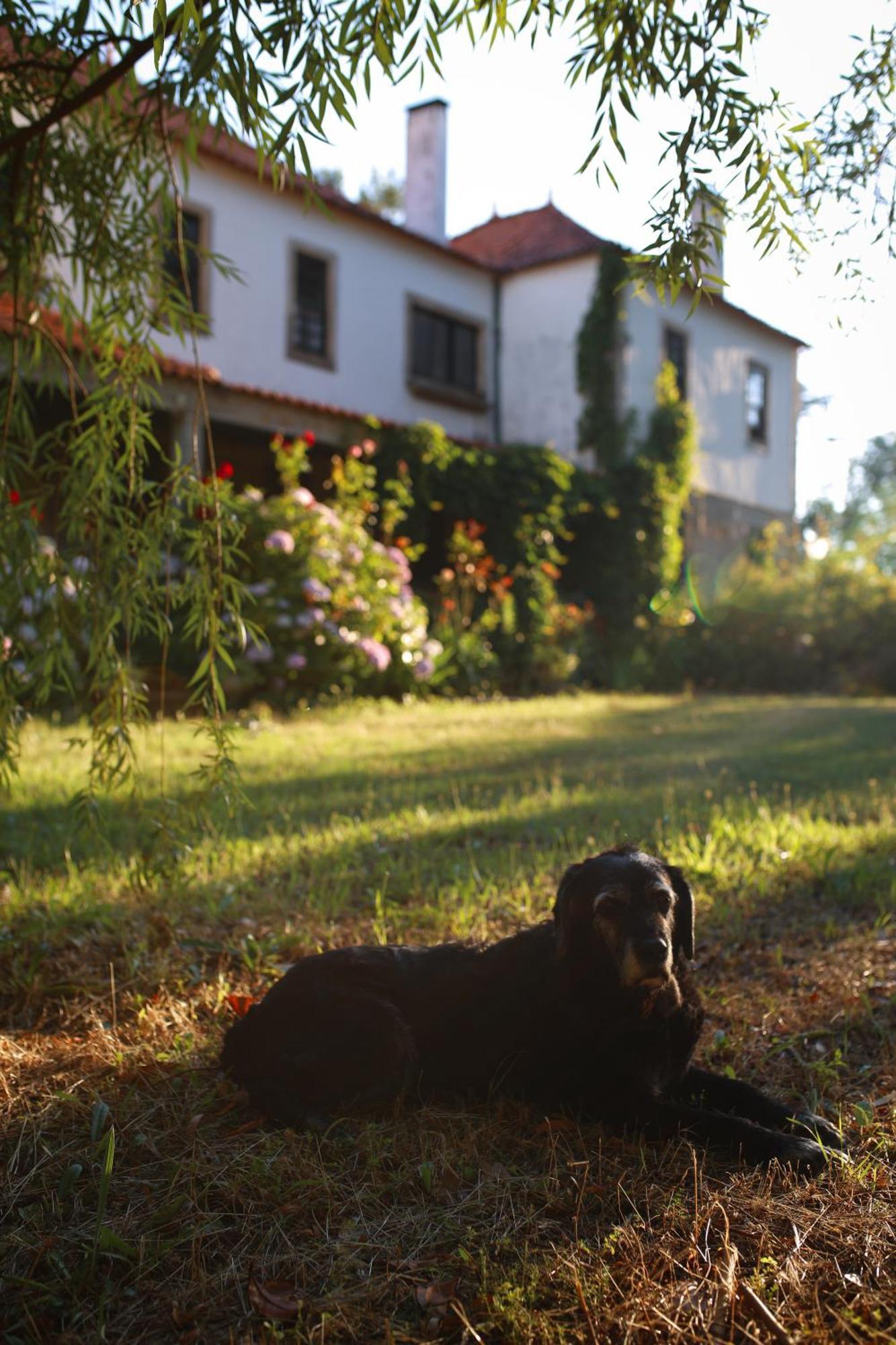 Lugar Da Pedra Alta - B&B - Private Historical Villa Melo Eksteriør bilde