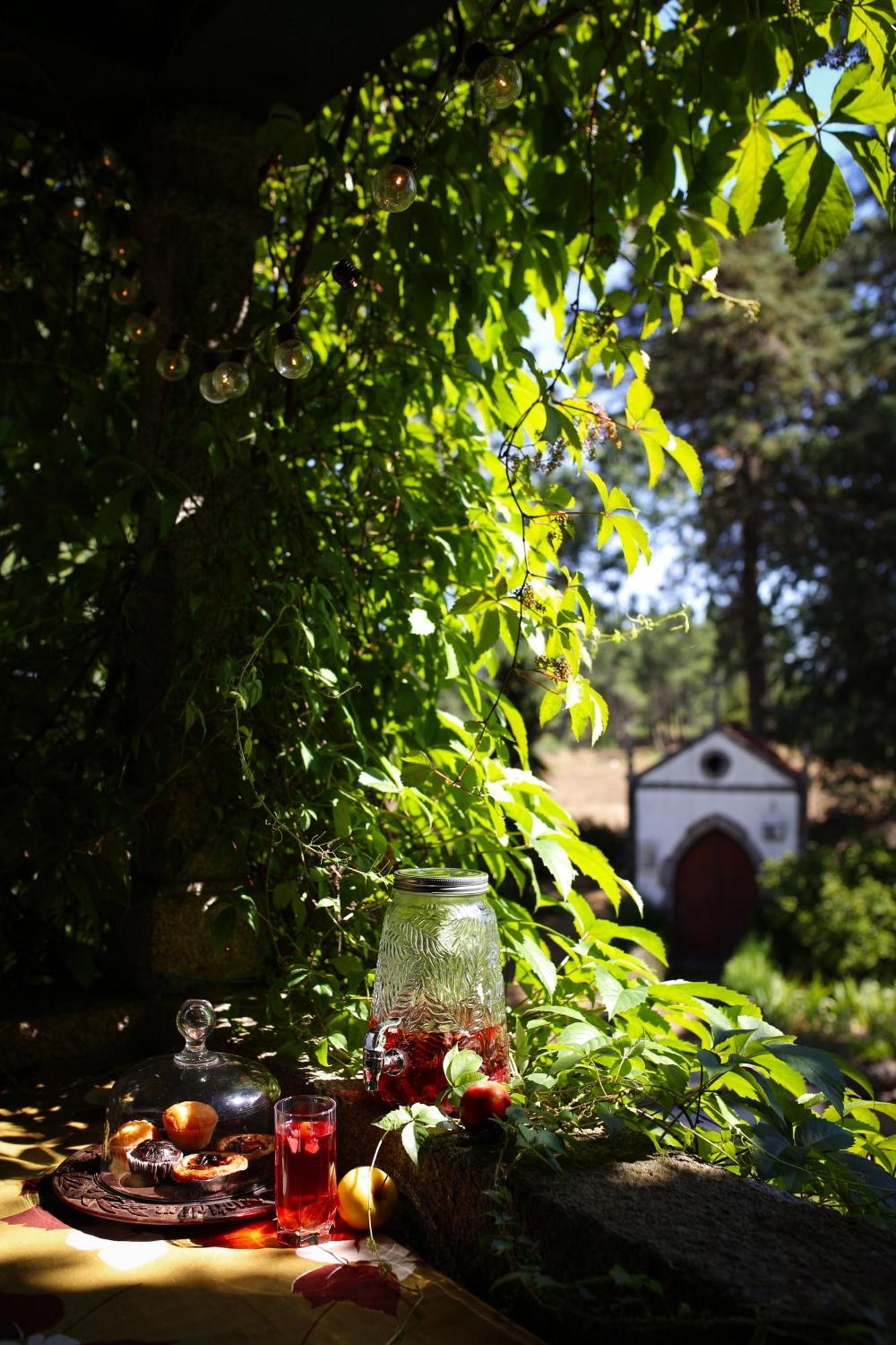 Lugar Da Pedra Alta - B&B - Private Historical Villa Melo Eksteriør bilde
